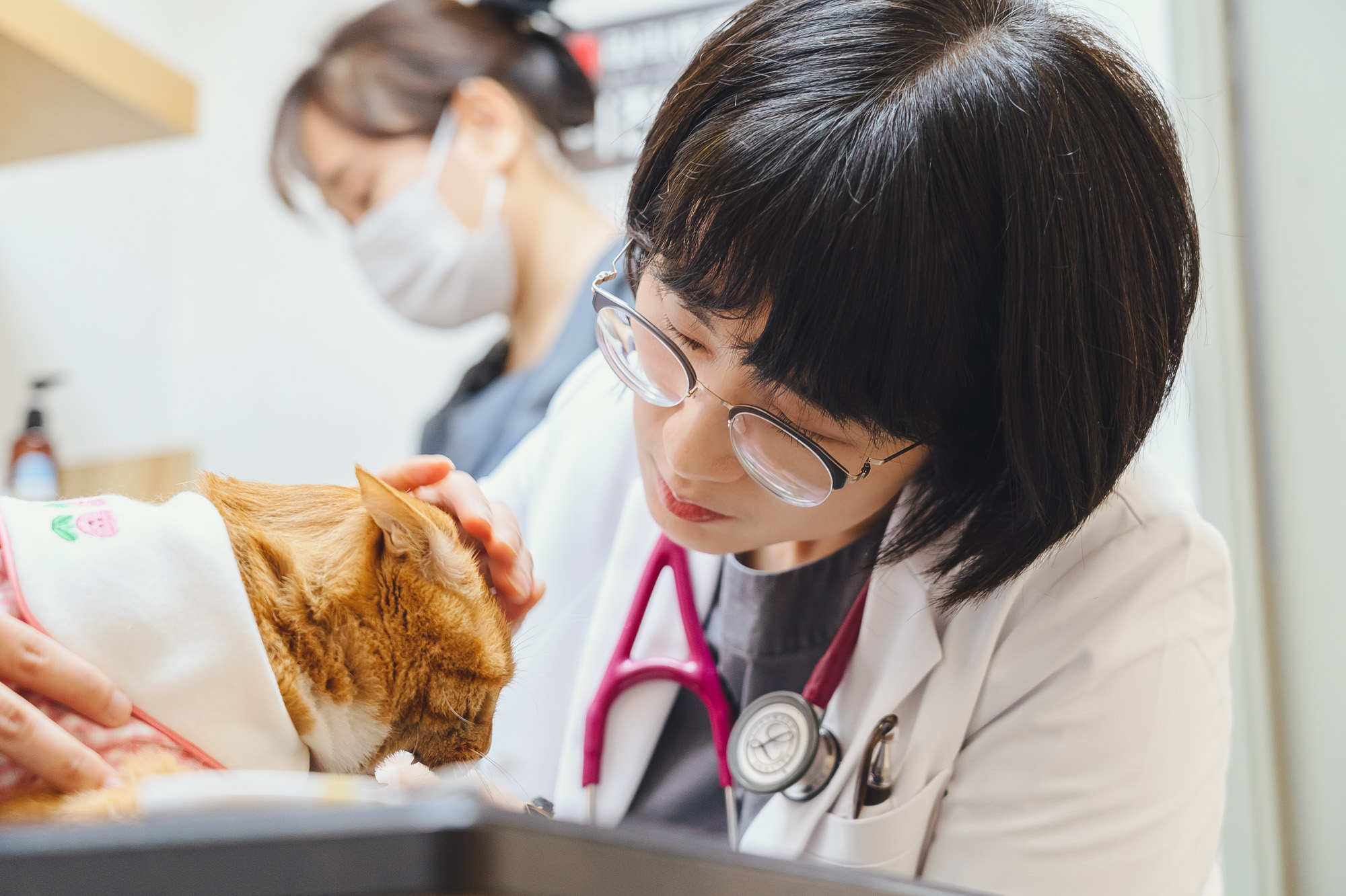 Healthcare Photography 포트폴리오