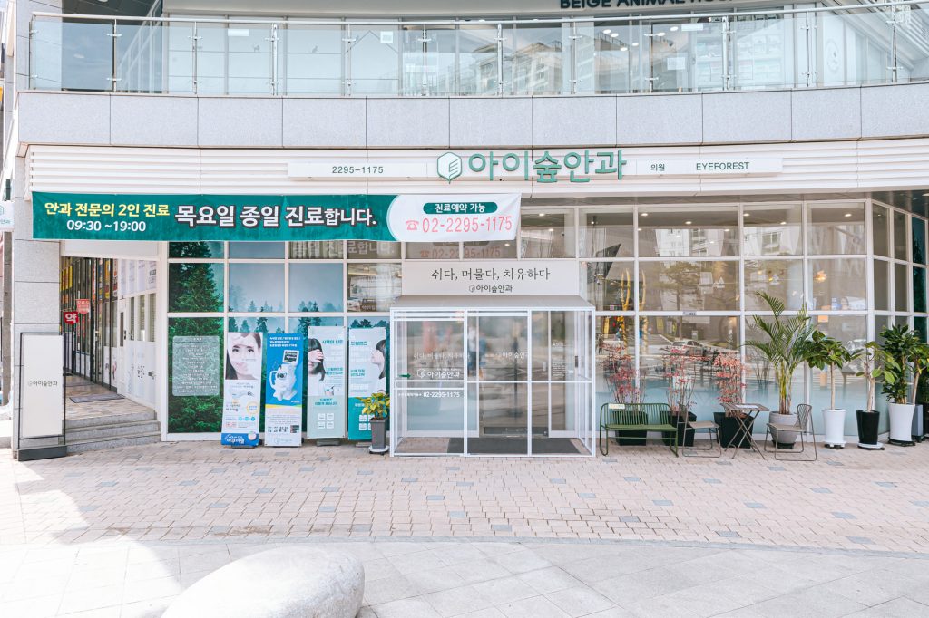 안과 포트폴리오